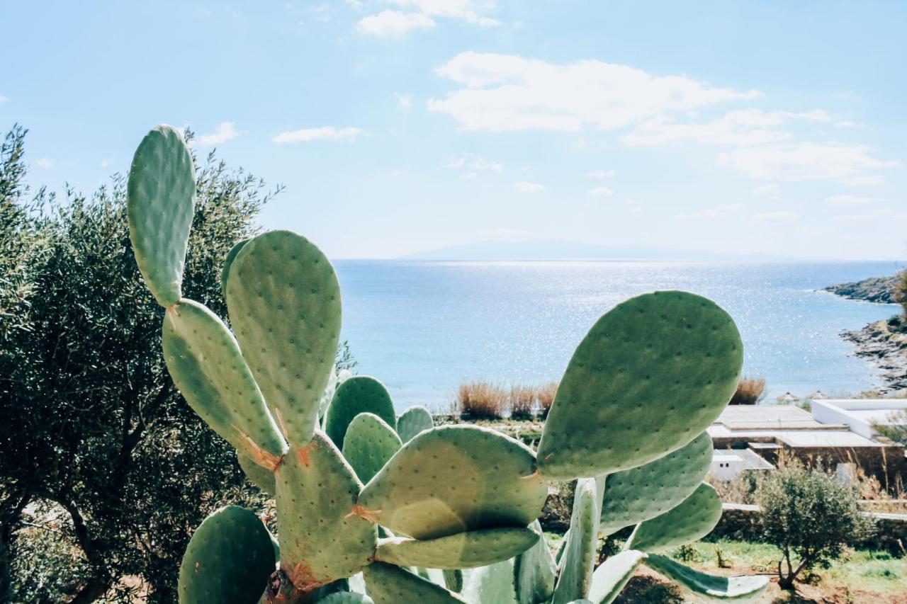 The Elaia House Mykonos Villa Ornos  Exterior photo